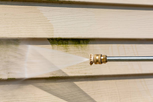 Best Deck Cleaning Services  in Dasher, GA